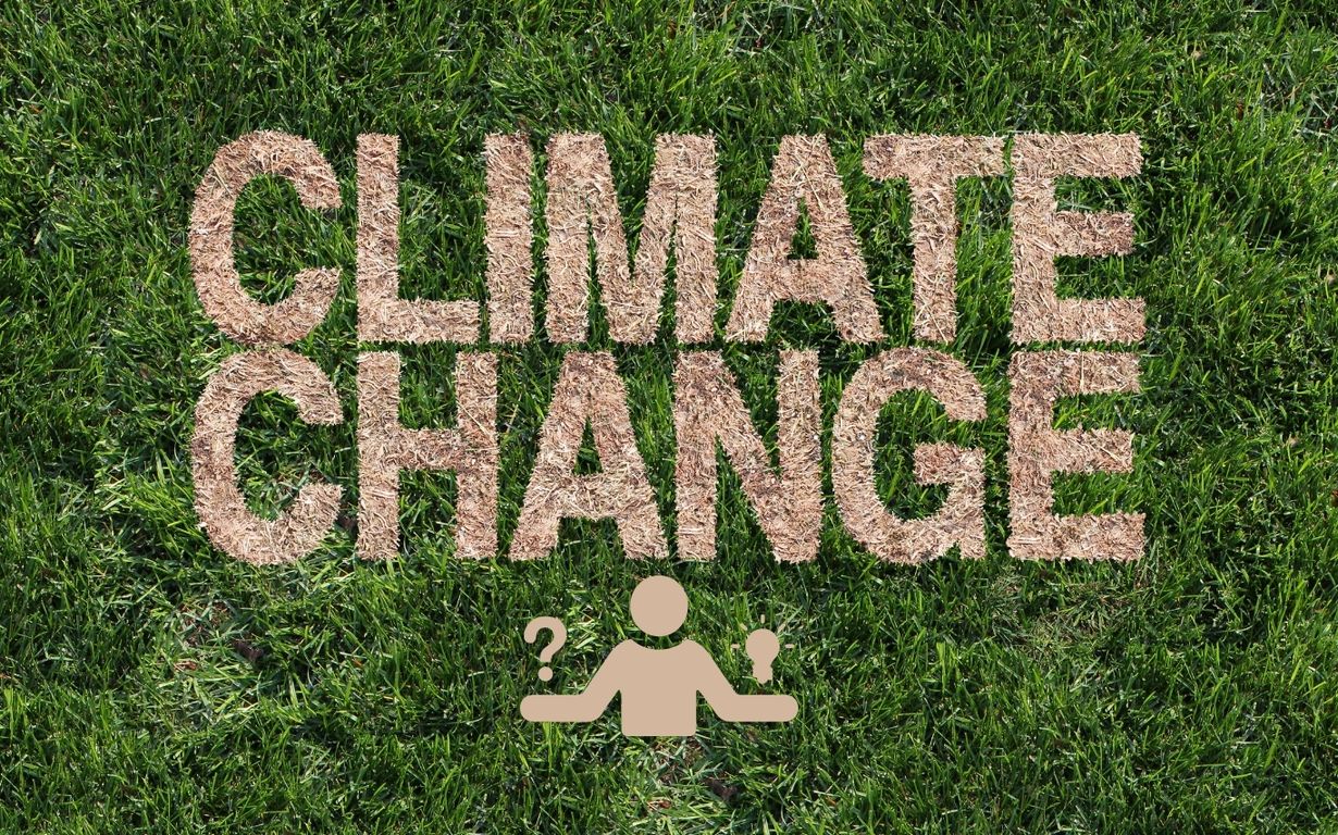climate change causes