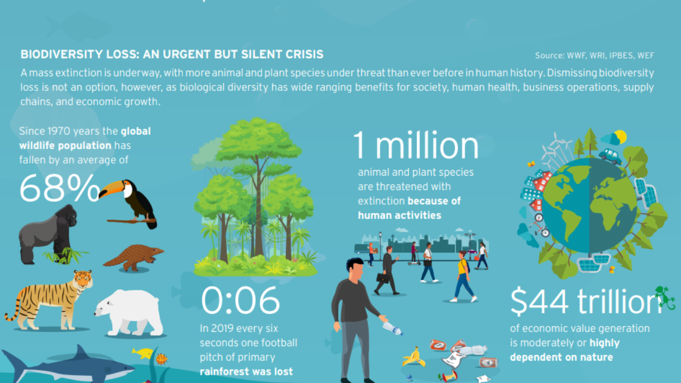 Biodiversity Loss Image